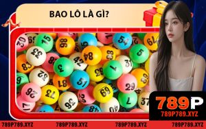 Bao Lô Là Gì?
