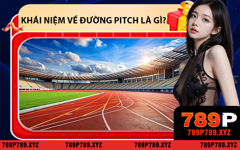 Khái niệm về đường pitch là gì?