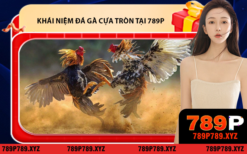 Tìm hiểu khái niệm đá gà cựa tròn tại 789P
