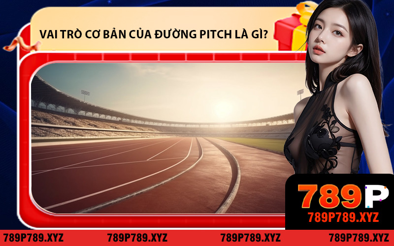 Vai trò cơ bản của đường pitch là gì?